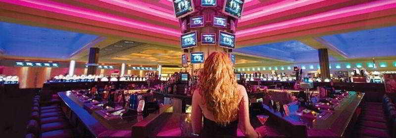 Seminole Hard Rock Hotel And Casino Tampa Exteriör bild